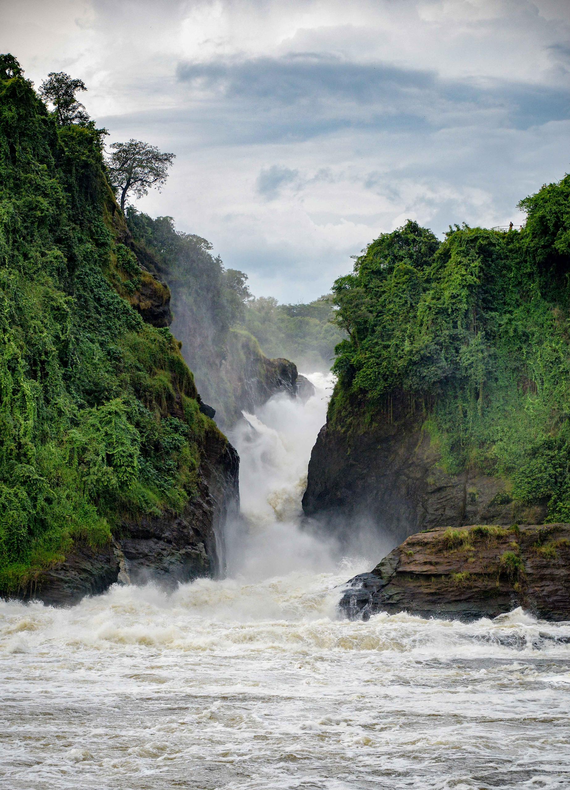 6-Day Murchison Falls & Gorillas Safari